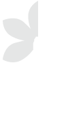 ICON-FLOWERNET-transparency--